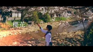 HANCE - 櫻花 / sakura-bana (Official Music Video)