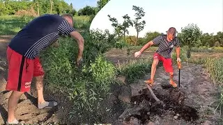 Вот и всё...