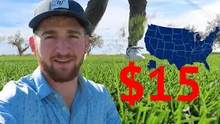 BEST Value Golf Course in the US / WORLD?! 18 Holes for $15