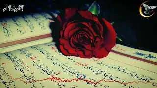 °#Muhammad #Al-#Muqit //Asmu'u// #Красивый #Нашид #Мухаммада #Аль #Мукита //#Я #Возвышаюсь//