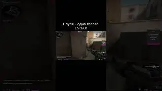 1 пуля - 1 голова! CS:GO! 