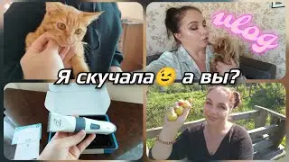 VLOG/Я скучала по Вам😘 а Вы? груминг на дому/машинка для стрижки собак 👍 #влог #груминг #рек