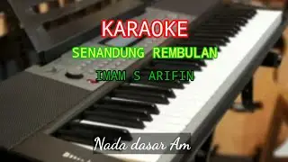SENANDUNG REMBULAN - Imam S arifin @BarnoEntertainment1708