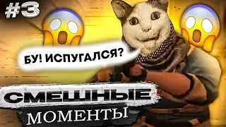 СМЕШНЫЕ МОМЕНТЫ СО СТРИМА №3 🤣😱