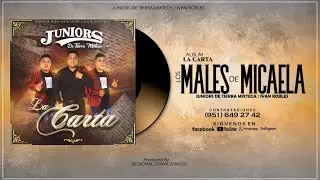 Los Males De Micaela | Juniors De Tierra Mixteca | Produccion 2024