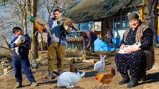 Discover the Joy of Simple Village Recipes: An Authentic Pasta Creation