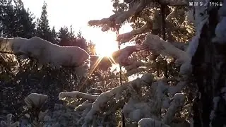 Белый снег (Official music)