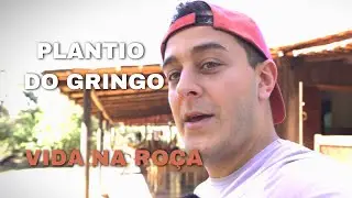 Vida Abundante Na Roça & Plantando Hortaliças Na Agrofloresta #gringo #agrofloresta  #vidanaroça