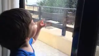 Toddler talking gibberish