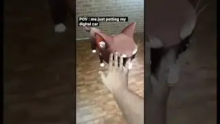 Just me petting my digital cat in Ar || Snapchat lens || Rbkavin || meta verse