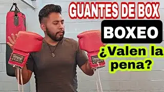 Guantes de box marca 