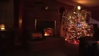 Enjoy the show