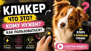 КЛИКЕР, что такое кликер, почему он не всем нужен, как пользоваться кликером