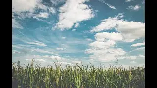 #Медитация воздух - Meditation air