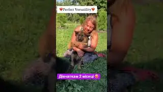 Обожаю этих шкодных бусинок❤️‍🔥🥰😍 