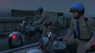 I fought the law GTA5