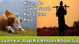 what happened with cow? #womenrights