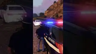 Wisconsin state patrol traffic stop shootout... 