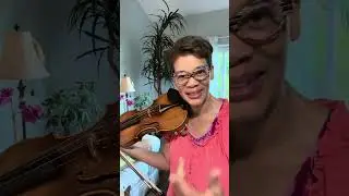 Parallels between Violin Practice and Entrepreneurship