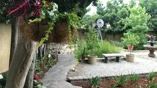 Planting a Narrow Garden Bed | Backyard Garden | Succulents