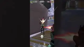 worlds smallest violin