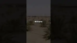 How China is Greening the Gobi Desert: The Great Green Wall!