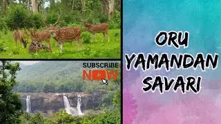 💥മലകളും കാടുകളും താണ്ടി ഒരു സവാരി💥🚗🚙