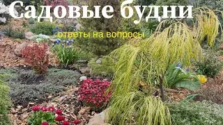 My garden 🏡 Garden routine 🏡 Answers to questions 🌿 Plans 🌿