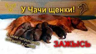 ЗАЖЫСЬ. В гостях у Чачи 17.05.2024