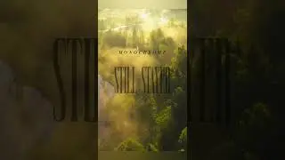 MONOCHROME / ALL HEART 11/24 #music #newmusic #metalcore
