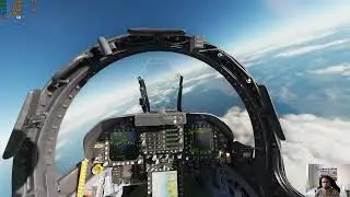 DCS 55