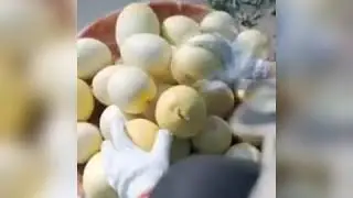 Tetaplah menjadi orang yang jujur, walau pun kita adalah orang paling miskin