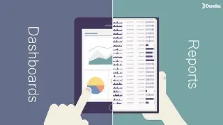 Dashboards vs. Reports