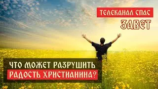 Почему христиане «грустные»? Что такое христианская Радость? | Телеканал Спас | Завет