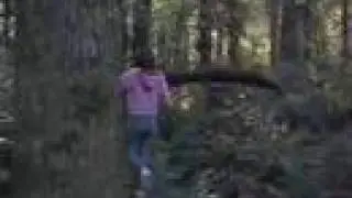 Lost - The Real Number