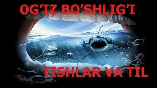 OVQAT HAZM QILISH A'ZOLARINING TUZILISHI VA VAZIFASI | ОВҚАТ ҲАЗМ ҚИЛИШ ТУЗИЛИШИ  ВАЗИФАСИ