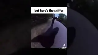 but here's the ______