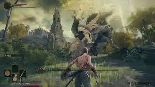 Elden Ring - Tree Sentinel(parry practice.)