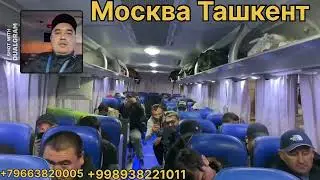 Москва Тошкент Автобус тошкент москва автобус Moskva Tashkent Avtobus toshkent moskva avtobus