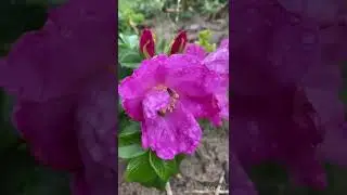 Почему так красиво?