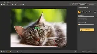 Movavi Photo Editor 1.5.0.  Установка и краткий обзор
