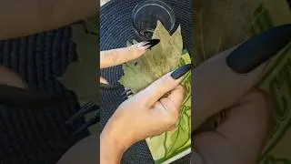ЭТА ХИТРОСТЬ ПРИГОДИТСЯ ВАМ ЛЕТОМ 👍 Комары и мошки больше не беспокоят