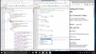 Common css errors not found by the css validator