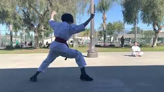 Senpai Alexis & Brandon Practice