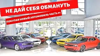 Часть 1// ИММИГРАНТ о РАБОТЕ в ДИЛЕРСКОМ АВТОСАЛОНЕ в США