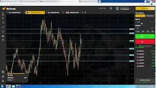 Bintradeclub торговля с нуля