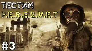 ТЕСТИМ P.E.R.E.S.V.E.T (DAYZ STALKER RP) #3