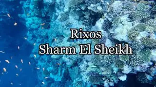 Риф отеля Rixos Sharm El Sheikh