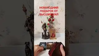 НОВОГОДНИЙ ПОДАРОК ОТ ВЫСШИХ СИЛ 