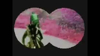 Judas Priest - Turbo Lover (home made video parody)